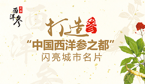 文登西洋参产业：打造“中国西洋参之都”闪亮城市名片！