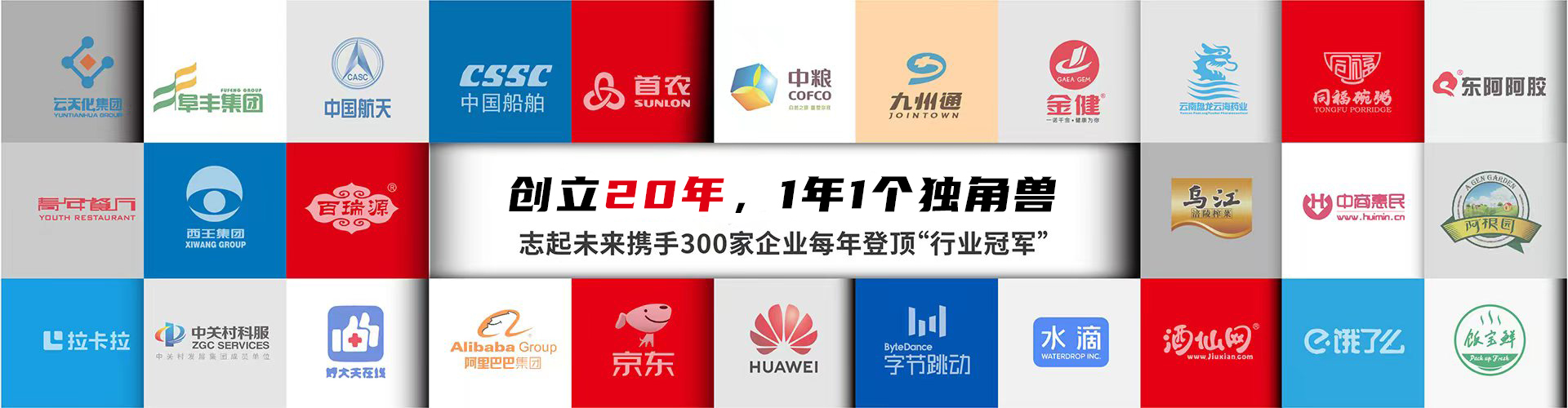 北京志起未来咨询集团（简称CBCT或志起未来），成立于2005年，总部位于北京，是一家创新品牌营销策划公司，入选中国十大策划公司，在公司战略品牌营销、战略定位、品牌策划、农产品区域公用品牌等已经服务15年，15年来致力于企业、产业及区域经济的发展研究，为企业和政府提供决策依据和资源支持。