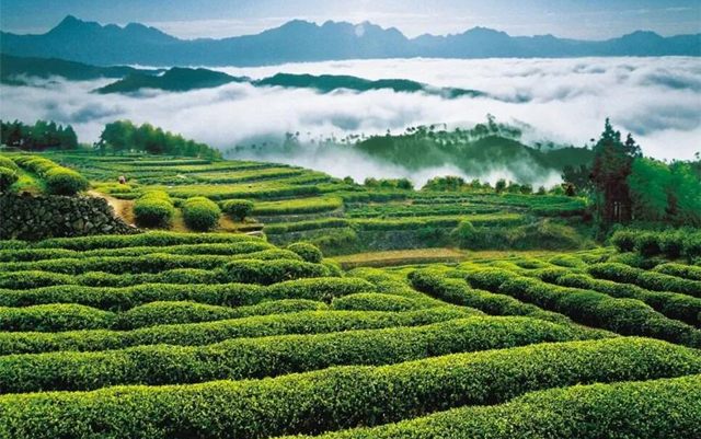 1554194292964463.jpg aad8aad2-0841-4237-84d1-f2fe4e721bf4.jpg