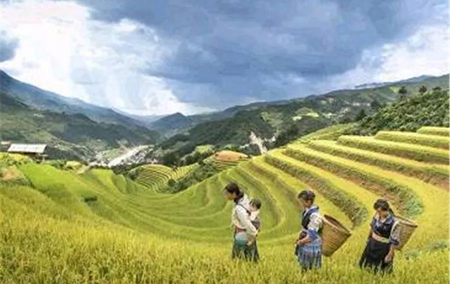 1554194297875616.jpg f30e1bed-b59c-4142-8018-55a644820ad0.jpg